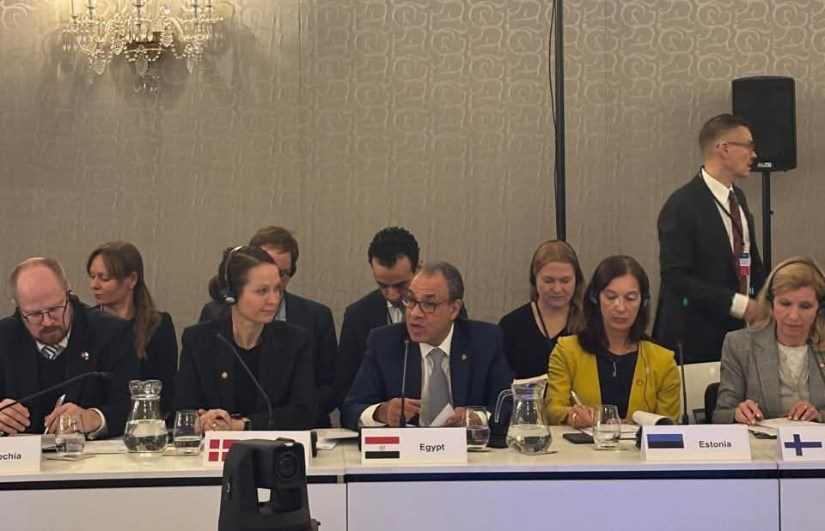 الدكتور بدر عبدالعاطي وزير الخارجية