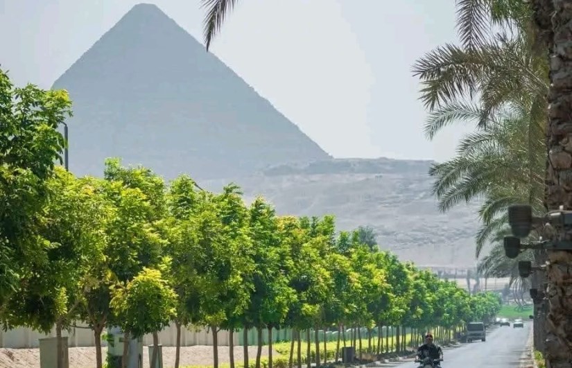 الجيزة الجيزة