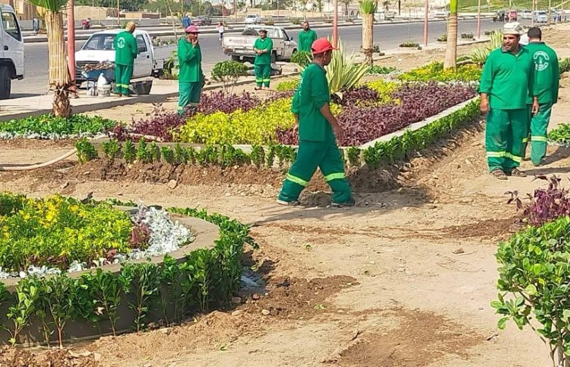 الفيوم  الفيوم