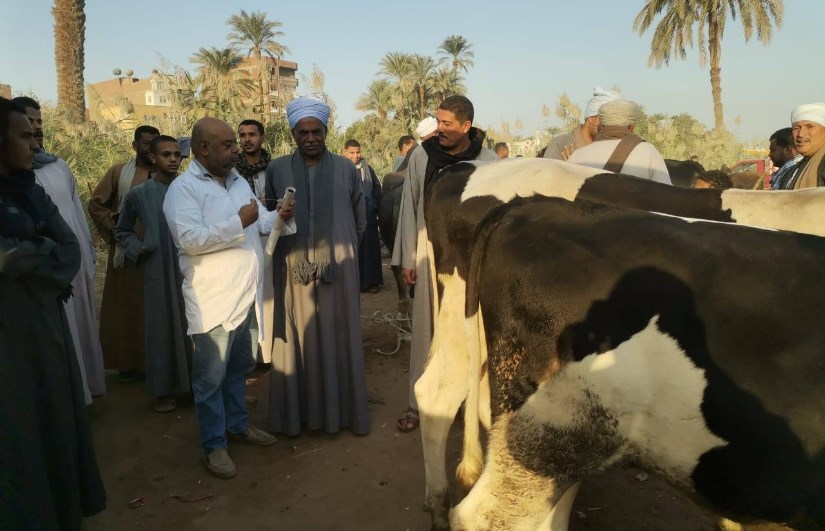 حملات مكثفة لمتابعة أسواق الماشية