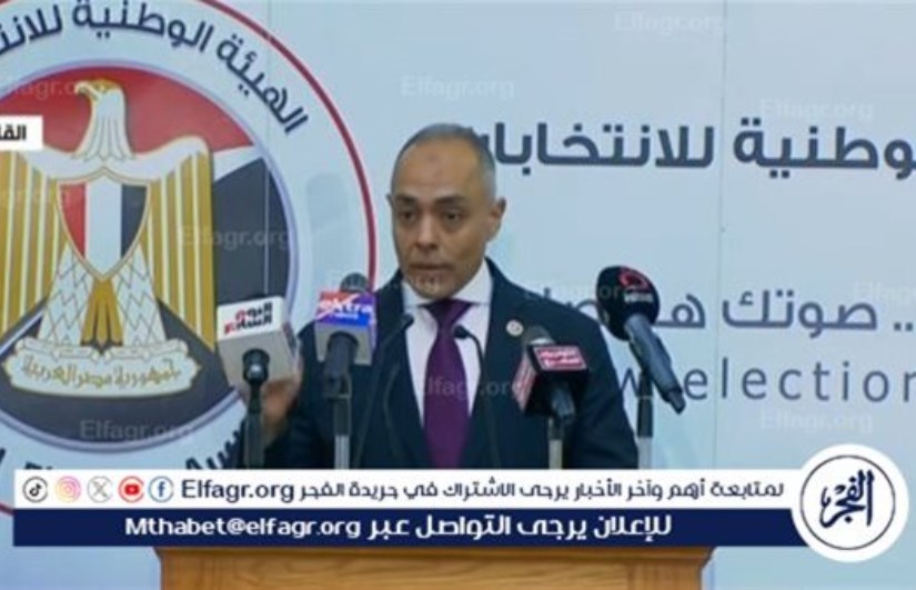 القاضي أحمد بنداري، مدير الجهاز التنفيذي للهيئة الوطنية للانتخابات