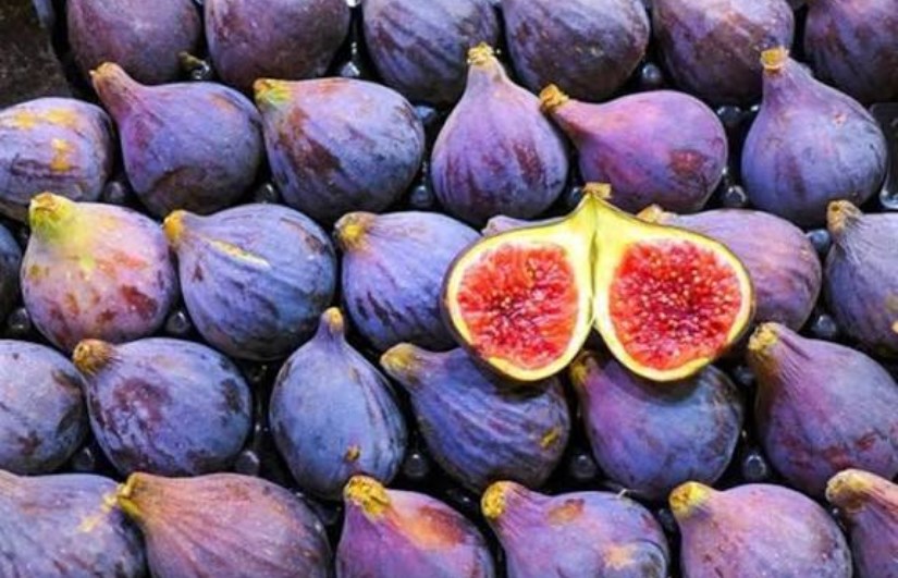 تفسير الاحلام 