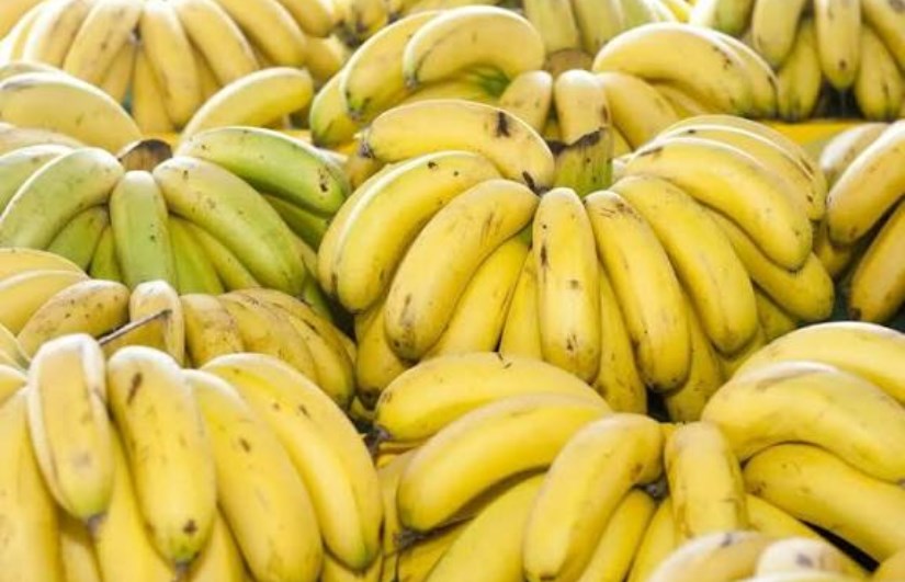 تفسير الاحلام 