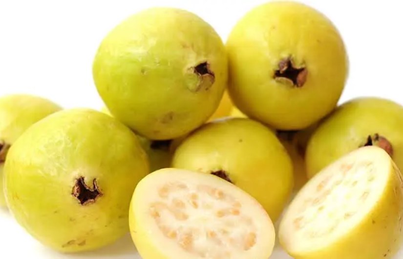 تفسير الاحلام 