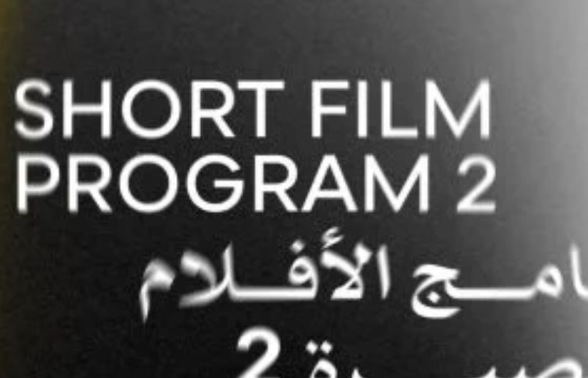 مهرجان القاهرة السينمائي الدولي