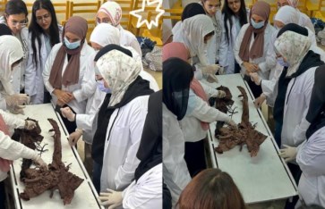 جانب من الفعاليات