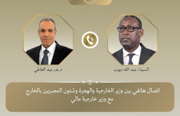 وزيرا خارجية مصر ومالي
