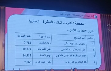 الهيئة الوطنية للانتخابات 