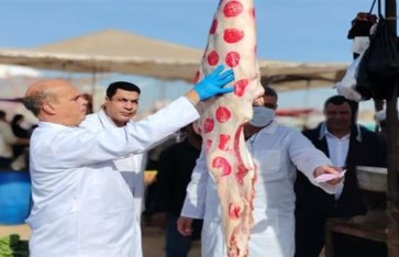 الطب البيطري 