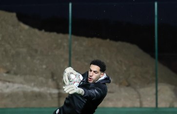 مصطفى شوبير 