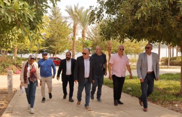 رئيس قطاع الفنون التشكيلية