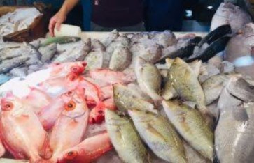 أسعار الأسماك في سوق العبور اليوم الاثنين