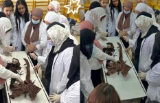 جانب من الفعاليات