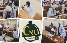 جانب من الفعاليات