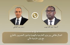 وزيرا خارجية مصر ومالي