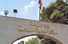 مركز البحوث الزراعية 