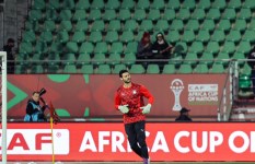 محمد الشناوي 