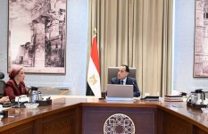 رئيس الوزراء يستقبل الدكتورة ياسمين فؤاد