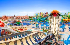 احتفالا بعيد ميلادها الثالث.. ظهور «الكينج كوبرا» كحارس لأكبر مدينة العاب ترفيهية بالغردقة يجذب الأنظار 