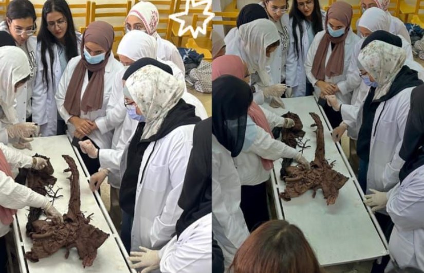 جانب من الفعاليات