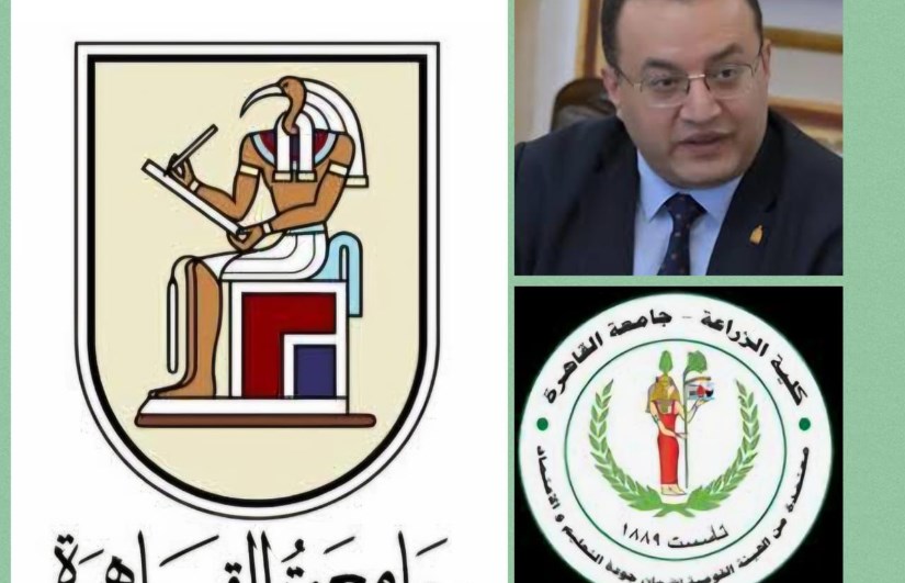 جامعة القاهرة 