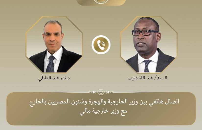 وزيرا خارجية مصر ومالي