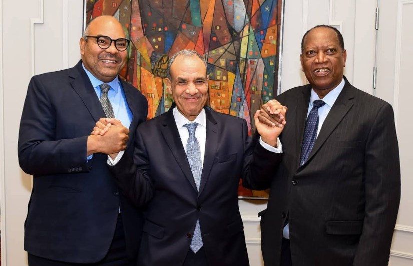 وزير الخارجية يلتقي نظيره التنزاني