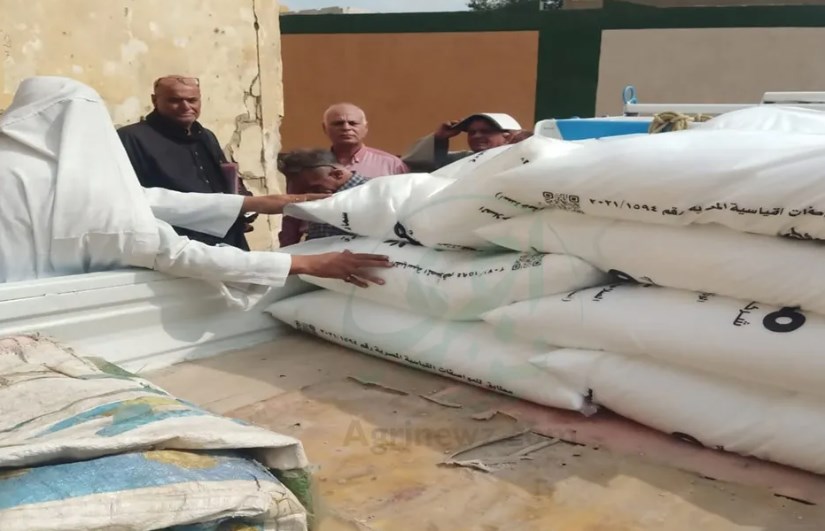 أسمدة زراعية 