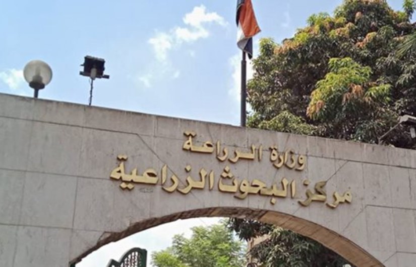 مركز البحوث الزراعية 