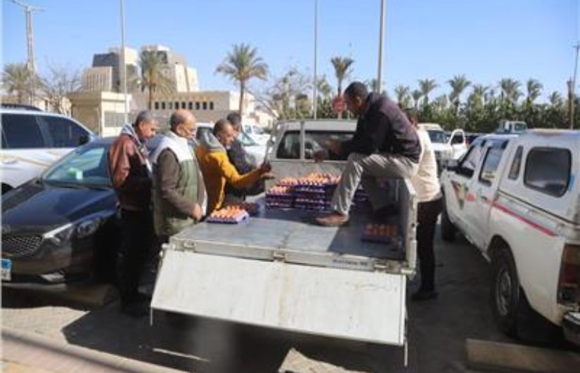 منافذ متنقلة لبيع البيض