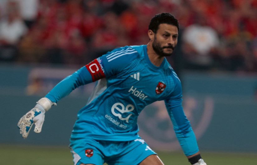 محمد الشناوي 