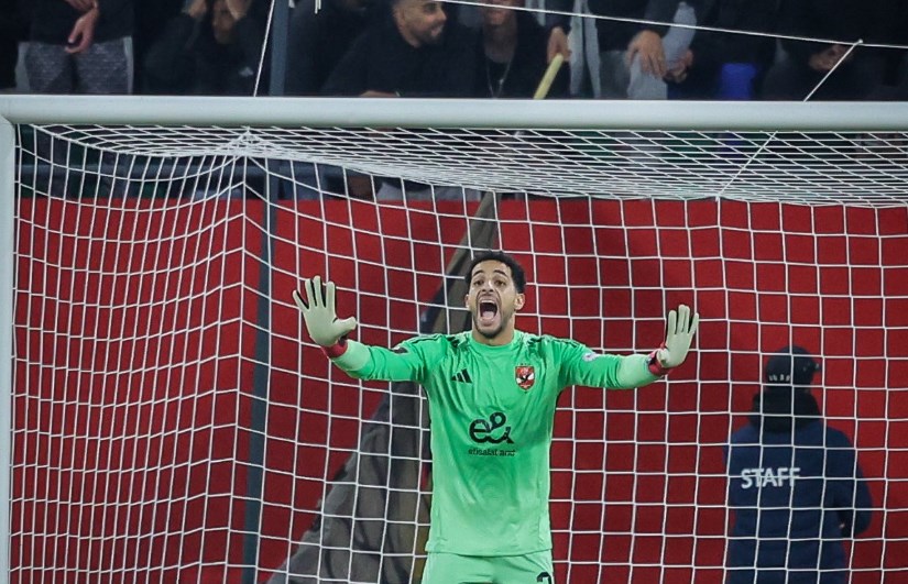 مصطفى شوبير 