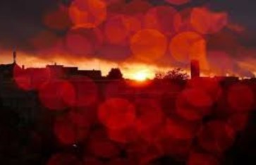 أغرب وقائع تم تسجيلها في العالم