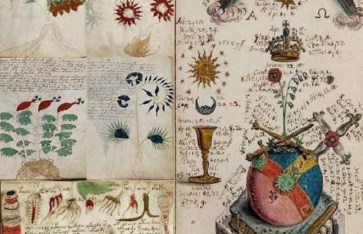 ألغاز حيرت العلماء