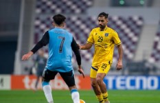 الوكرة والتعاون 