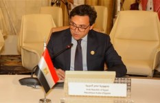 الدكتور أحمد فؤاد هَنو 