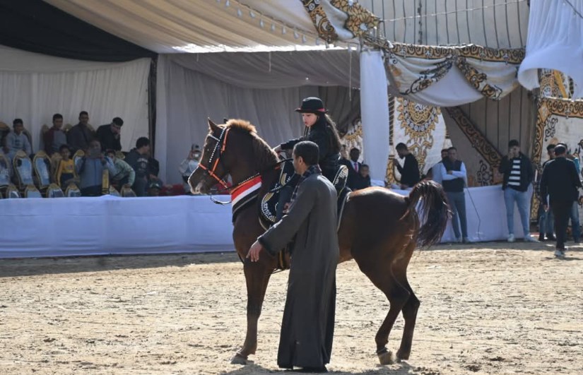 مهرجان الخيول العربية