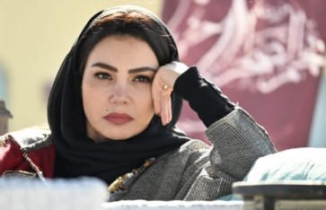 مسلسل حكيم الباشا 