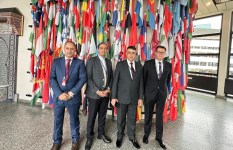 جانب من الفعاليات 