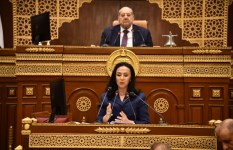 وزيرة التضامن  وزيرة التضامن