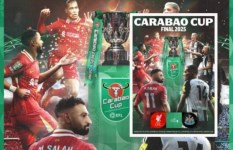 ليفربول ونيوكاسل 