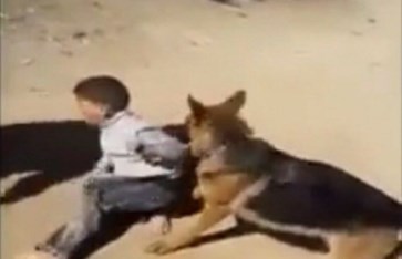 صورة أرشيفية  صورة أرشيفية