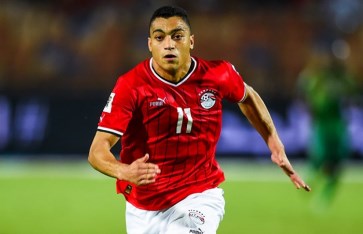 مصطفى محمد  مصطفى محمد