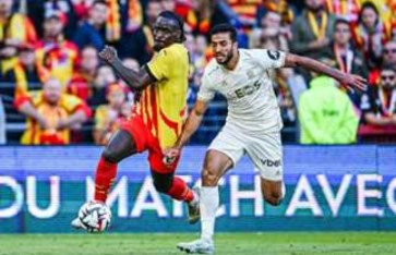 محمد عبد المنعم  محمد عبد المنعم