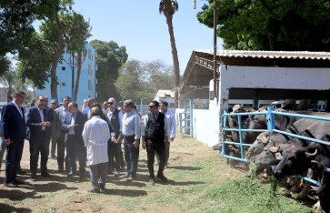 مدبولى يتفقد محطة الثروة الحيوانية فى الحمام مدبولى يتفقد محطة الثروة الحيوانية فى الحمام