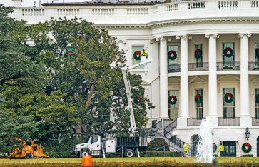 ترامب يقطع شجرة "الماغنوليا" التاريخية