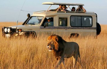 رحلات السفاري رحلات السفاري