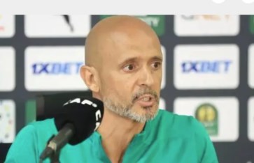 مدرب صن داونز مدرب صن داونز