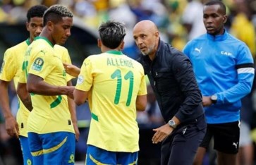 مدرب صن داونز مدرب صن داونز