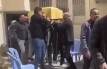 إيناس النجار 